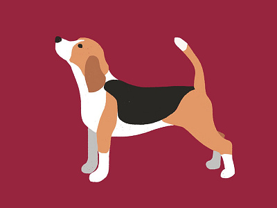 Beagle beagle dog dogs flat illustration simple