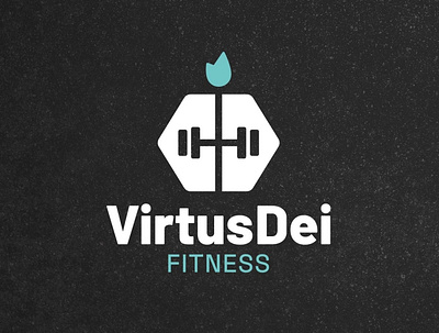 Brand Identity - VirtusDei Fitness branding graphic design icon logo vector