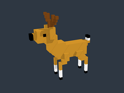 Deer