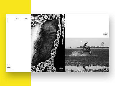 Aldo Sessa - Album 3 (concept) concept helvetica landing page layout minimal photography swiss typography ui ux web design