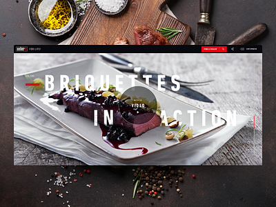 Weber Briquettes - Video by Adrián Somoza on Dribbble