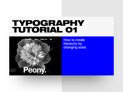 Typography Tutorial 01 art direction course design design thinking free interaction learn school tips visual youtube