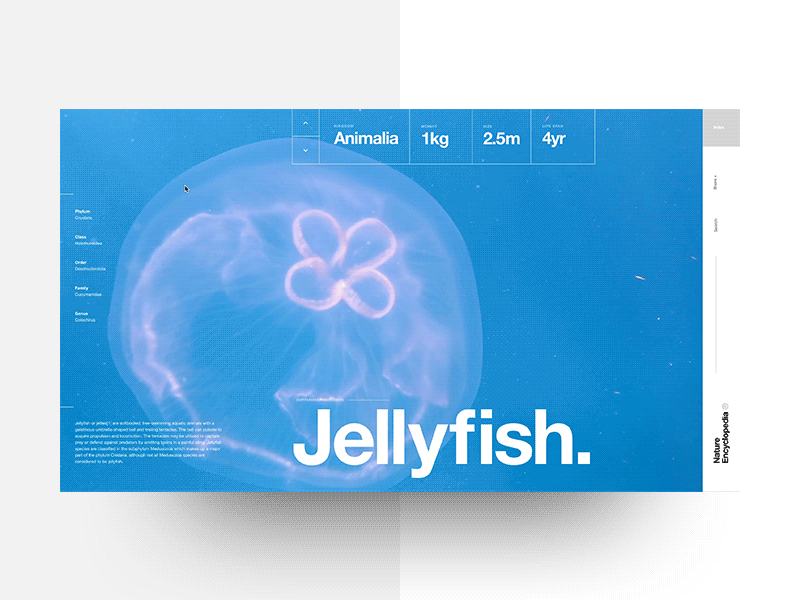 Nature Encyclopedia — Jellyfish clean composition graphic design helvetica landing layout minimal nature swiss typography video