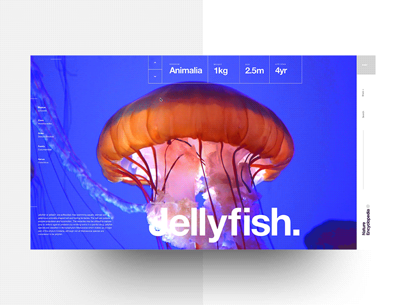 Nature Encyclopedia — Species Slider 01 clean composition graphic design helvetica landing layout minimal nature swiss typography video