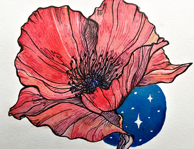 Night Poppy botanical botanical illustration branding design flat flower illustration flowers illustration illustrator ink ink illustration logo minimal poppy red flower vector