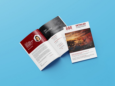 Brochure Design creative design creative creative and quality design typography design vector