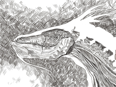 Smug Smaug dragons illustration lotr pencil smaug the hobbit