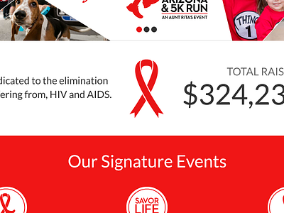 Aunt Rita AIDS Walk 5k aids aids ribbon banner donation event non profit ribbon walk web web banner web design