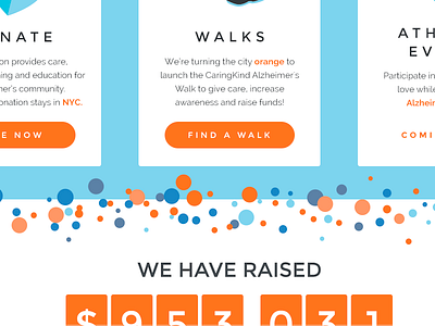 Bright & Spotty counter divider donate event fundraising illustration non profit spots ui walk web web design