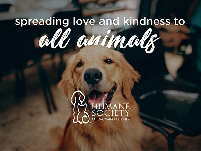 Kindness to Animals animal banner dog non profit pet care pets poster print type