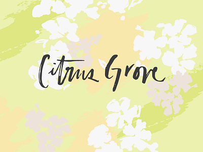 Citrus Grove design identity lettering pattern