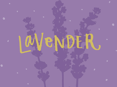Lavender colorful design hand lettering illustration lavender