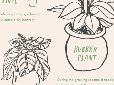 Illustrated Guide to Watering My House Plants