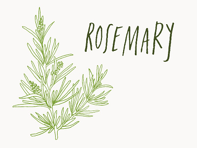 Rosemary