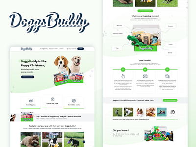 DoggsBuddy Web Template Design animation app ui branding creative design illustration minimal typography ui design ux desgin web website