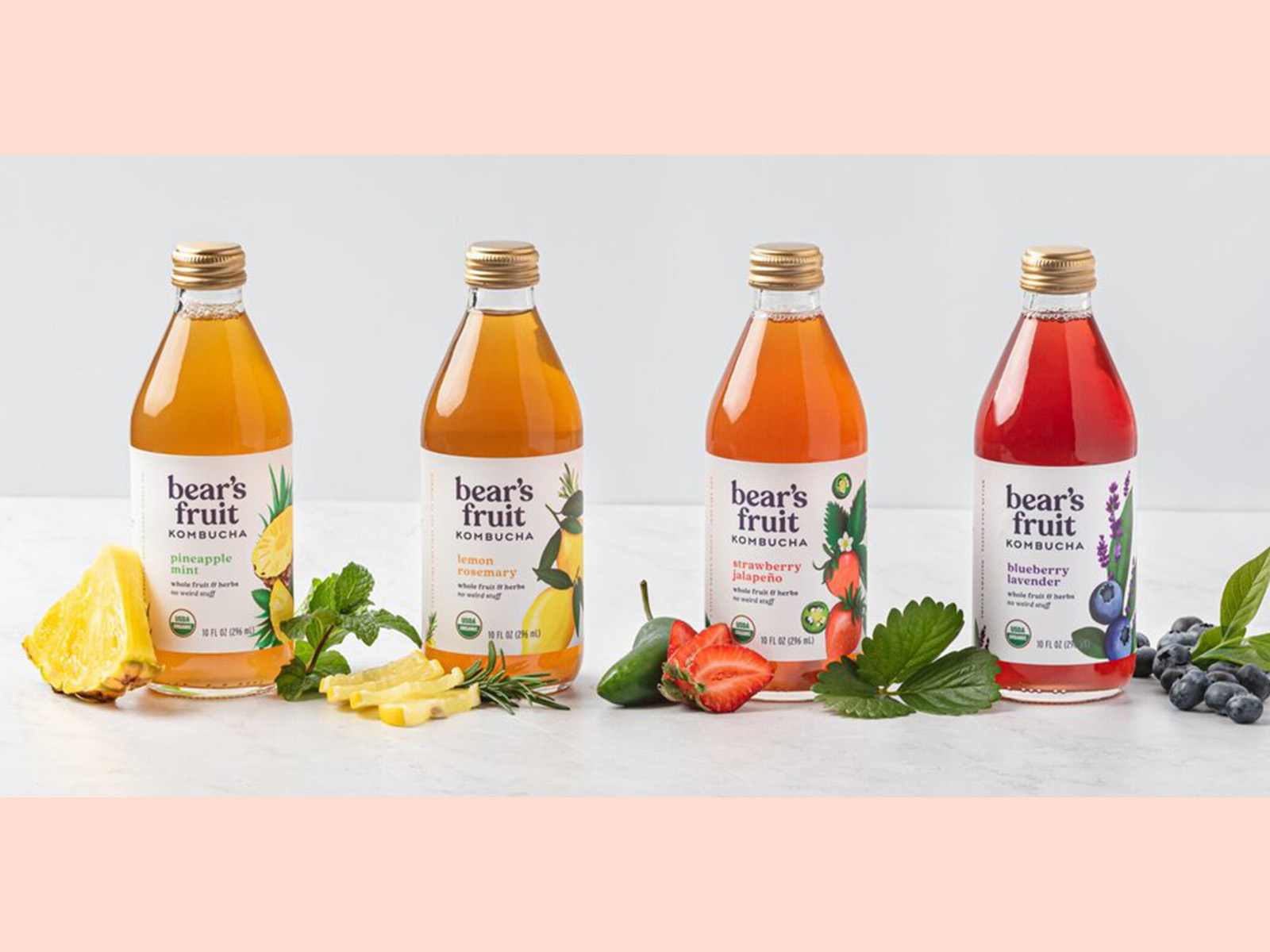 Bear´s Fruit Kombucha Fruit Illustration by Danii Pollehn on Dribbble