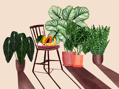 Plant gang botanical illustration botanicalart digital illustration freelance illustrator fruits house plants illustration illustrator plants room shadows