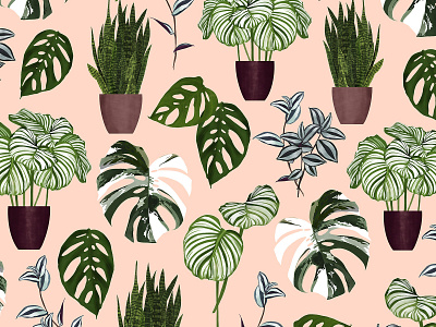 Houseplant pattern botanical illustraion botanicalart digital illustration digitaldrawing editorial illustration freelance illustrator graphic design houseplant illustration illustrator leaves modern botanicals packagingdesign pattern patterndesign tropical