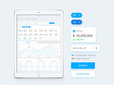 Data Analysis（iPad Pro）