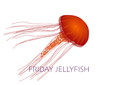 Friday Jellyfish animal fish illustration jellyfish ocean