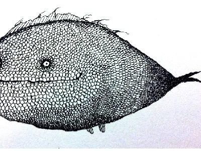 Fishsmall creature drawing fish illustration life monster sea