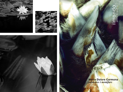 photo art catalogue art book concept cover exhibition gallery graphic identity ilmondo lotus palm photo