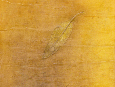 yellow leaf texture on paper with natural colors abstract art autumn background color decoration design floral illustration leaf natural nature orange paper pattern plant season texture wallpaper yellow