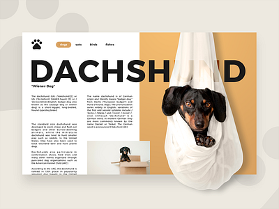 DAILY UI #15 - Dachsund ( pet infos page )