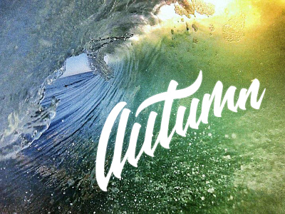 Autumn autumn branding brush pen lettering logo love matt vergotis surfing tube verg