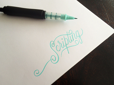 Scripting brush pen calligraphy cursive flourish hand drawn lettering logo script signature sketch typography