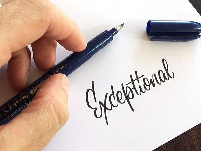 Exceptional brush pen calligraphy script