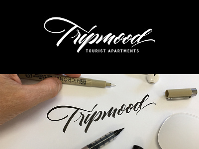 Tripmood brush pen calligraphy custom lettering process script typeface vector