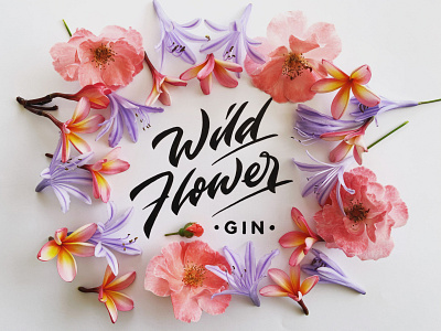 Wild Flower alcohol calligraphy lettering process