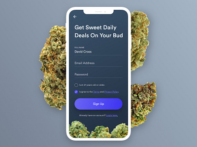 Cannabis Rewards App app cannabis clean flat ios iphone mobile rewards toronto ui