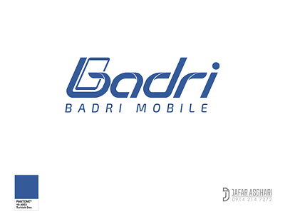 Badri mobile logo