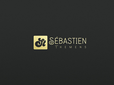 ST Professional Letter Branding Logo