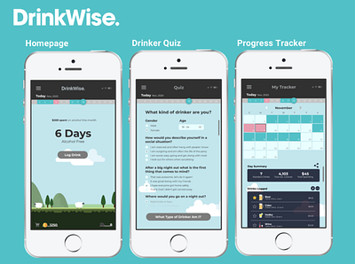 DrinkWise | INFS2603 Assignment 2020 ux