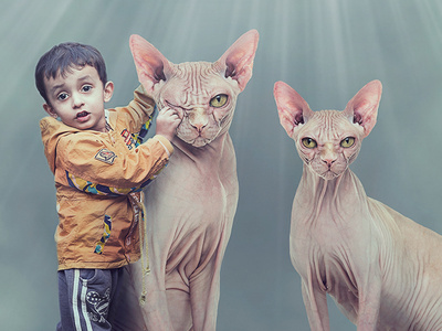 Bilboard Design animal banner bilboard cat digital painting kid kids manipulation pakistan photoshop photoshop manipulation poster