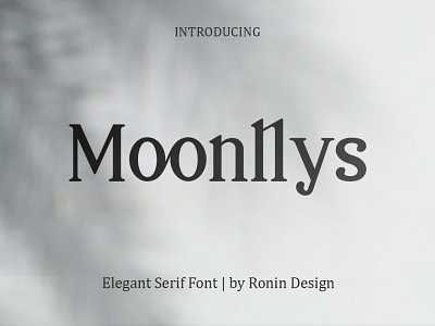 Moonllys Serif Font