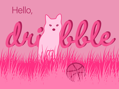 Hello, Dribbble! debut dog hello dribbble illustration minimalism