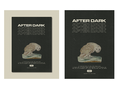 AFTER DARK adobe artwork design editorial magazine poster print type visual visual design