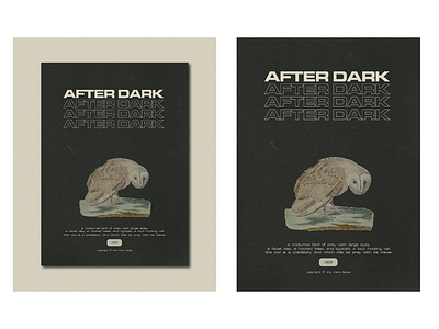 AFTER DARK