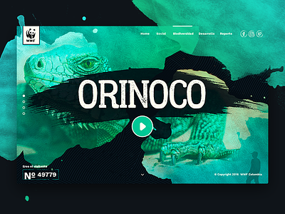 Orinoco WWF color al cuadrado orinoco watercolor website wwf