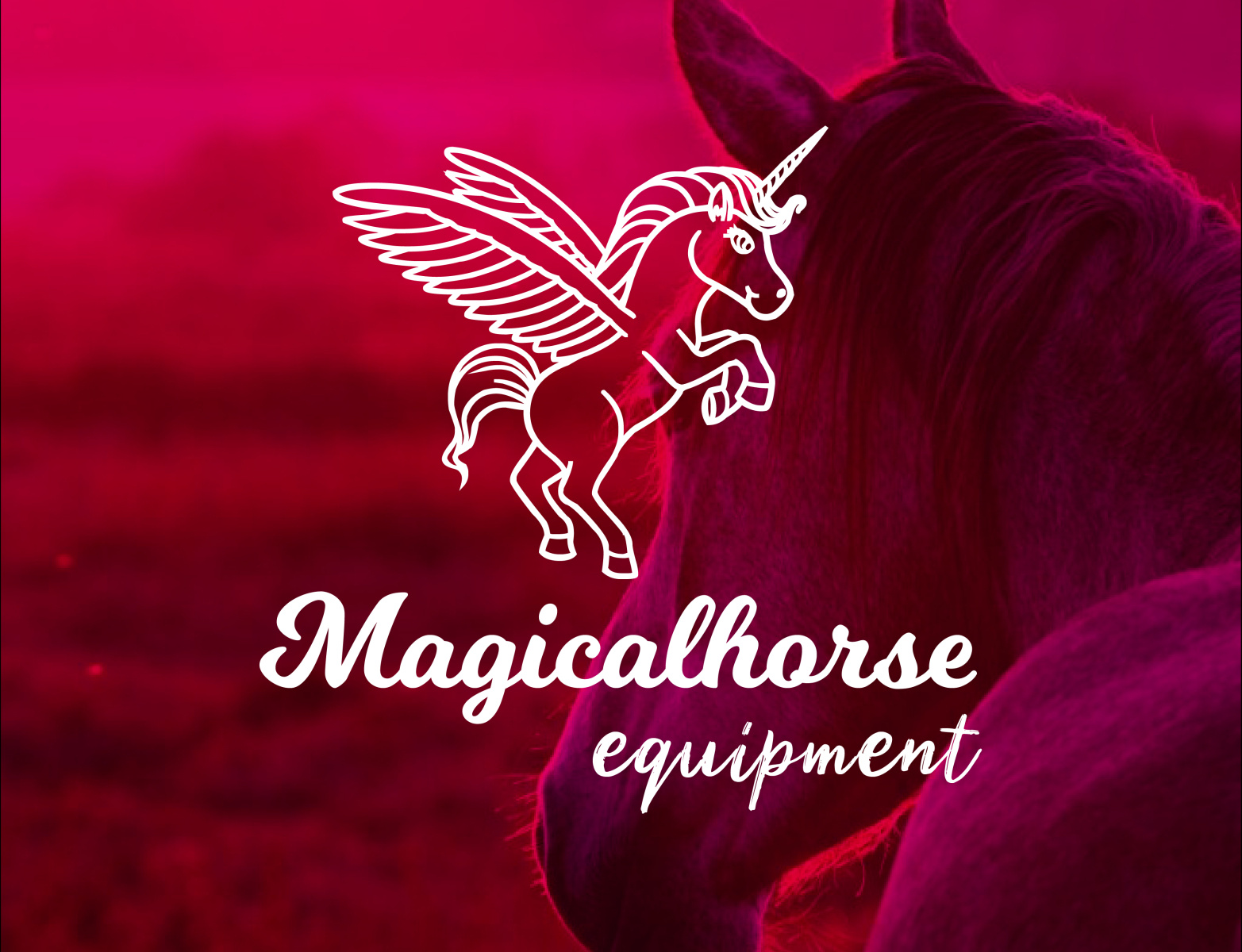 Magicalhorse equipment by kindgraphicdesigns on Dribbble