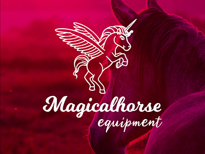 Magicalhorse equipment