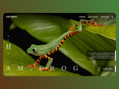 Am Frog adobexd design frog green nature ui ux