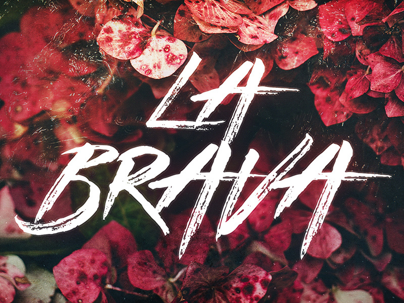 La Brava - Typeface typography calligraphy handdrawn font slab serif font handmade font handsketched font fonts buffalo font