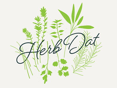 Herb Dat food healthy herbs illustration typography