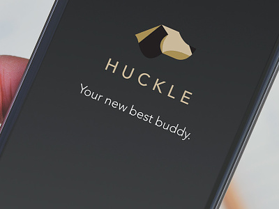 Huckle Launch Screen animals app dogs ios launch mobile design rescue splash ui ux
