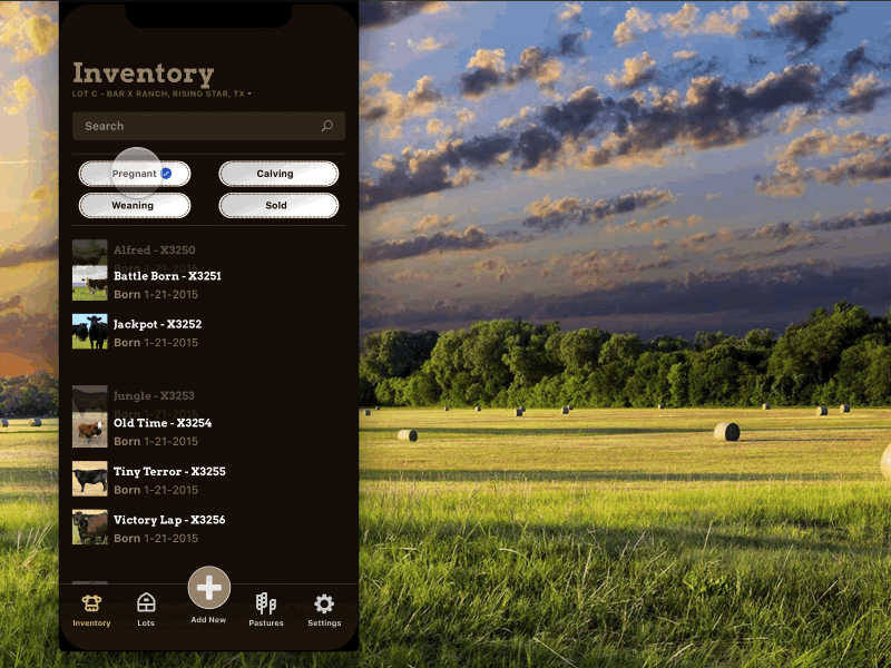 iOS 11 Cattle Management Filtering 🐄 🤠 agriculture app farm filtering framer ios11 iphone iphonex ranch sort ui ux
